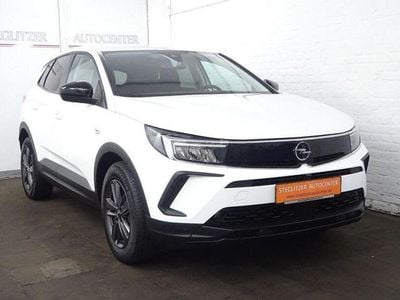 Gebraucht Opel Grandland X Business Edition 131 PS (96 kW) 2022 Jade weiss/arktis weiss SUV