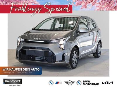 Neu Kia Picanto Vision 68 PS (50 kW) 2025 (m7g) astro grey m Kleinwagen