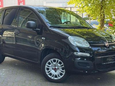 Gebraucht Fiat Panda 69 PS (50 kW) 2019 Nero profondo/cattivo/ Kleinwagen