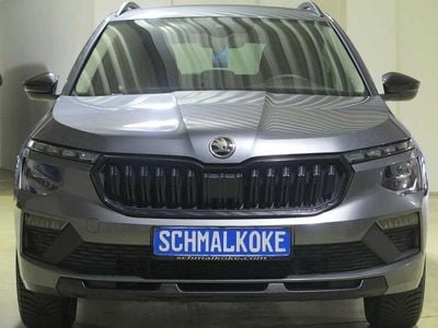 Gebraucht Skoda Kamiq Tour 150 PS (110 kW) 2025 Grau SUV