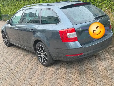 Gebraucht Skoda Octavia Soleil 150 PS (110 kW) 2019 Grau Kombi