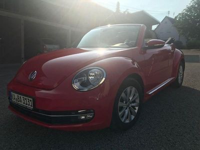 VW Beetle