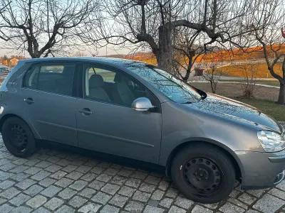 Brugt VW Golf V Goal 80 HK (58 kW) 2007 Grå Hatchback
