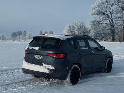 Grau Gebraucht 2019 Cupra Ateca SUV | 26.000 € (Fairer Preis)