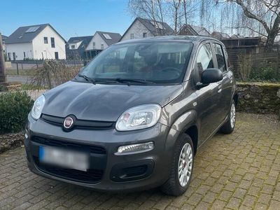 gebraucht Fiat Panda Easy grau 69PS top Zustand