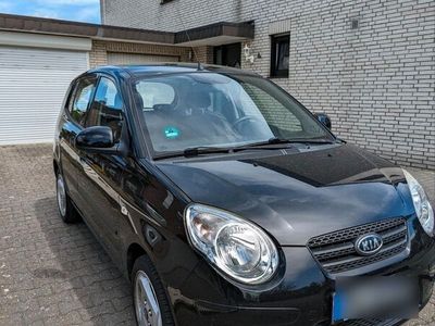 gebraucht Kia Picanto 1.1 48kw