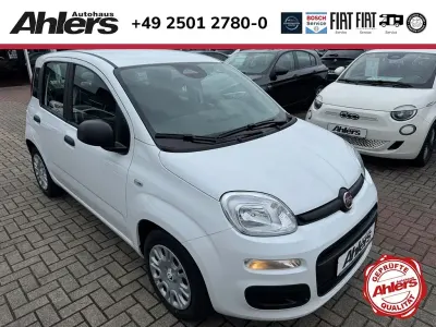 Neu Fiat Panda Pop 65 PS (47 kW) 2026 Weiss Kleinwagen
