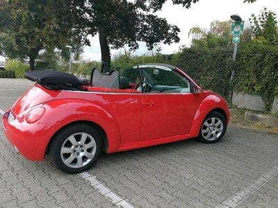 gebraucht VW Beetle Cabrio*Liebhaberauto