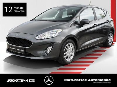Gebraucht Ford Fiesta Cool & Connect 101 PS (74 kW) 2019 Grau Kleinwagen