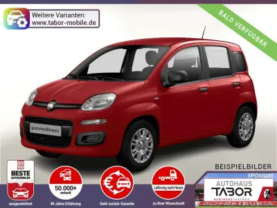 Neu Fiat Panda Pop 65 PS (47 kW) 2026 Passione rot Kleinwagen