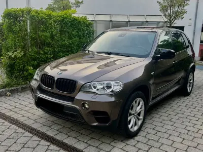 Brugt BMW X5
