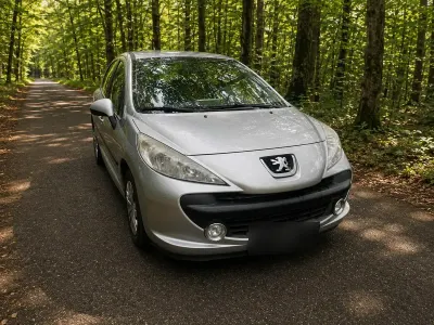 Gebraucht Peugeot 207 73 PS (53 kW) 2009 Silber Kleinwagen