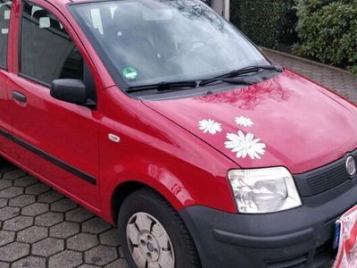 gebraucht Fiat Panda 1,1 , 54 PS, 1.Hand, Typ 169, Rot, Allwetterreifen