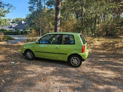 Gebraucht VW Lupo 50 PS (36 kW) 1998 Grün Kleinwagen