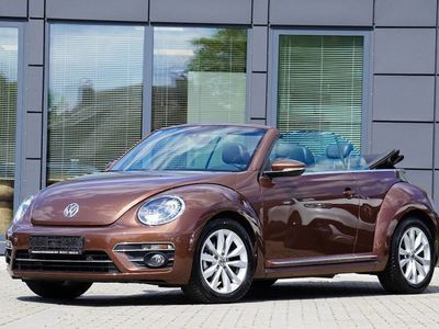 VW Beetle