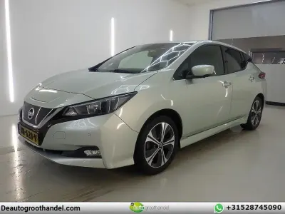 Brugt Nissan Leaf