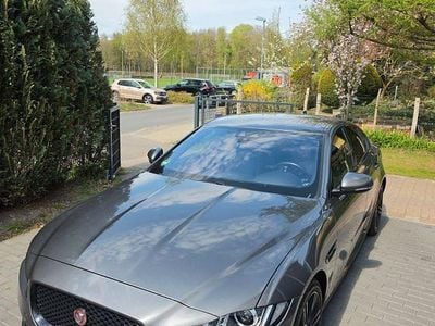 Occasion Jaguar XE Ingenium 250 ch (183 kW) 2018 Gris Berline