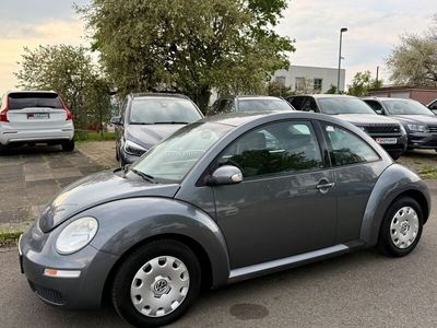 VW Beetle