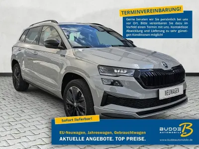 Neu Skoda Karoq Ambiente 150 PS (110 kW) 2026 [m3m3] stahl grau SUV