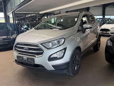 Usata Ford Ecosport Titanium 125 CV (91 kW) 2019 Argento SUV