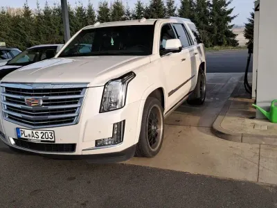 Second-hand Cadillac Escalade 430 CP (316 kW) 2018 Alb SUV