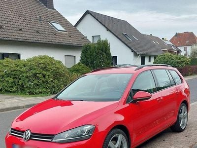 Usata VW Golf VII Comfortline 110 CV (80 kW) 2015 Rosso Station wagon