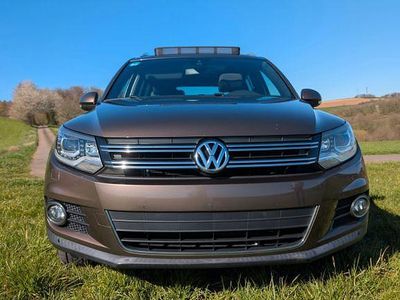 Gebraucht VW Tiguan Life 140 PS (102 kW) 2013 Braun SUV
