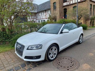 gebraucht Audi A3 Cabriolet TDI 2.0 Ambition