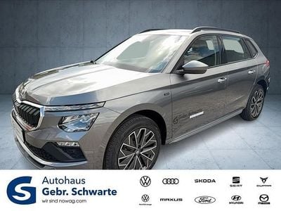 Gebraucht Skoda Kamiq Tour 116 PS (85 kW) 2025 Grau SUV