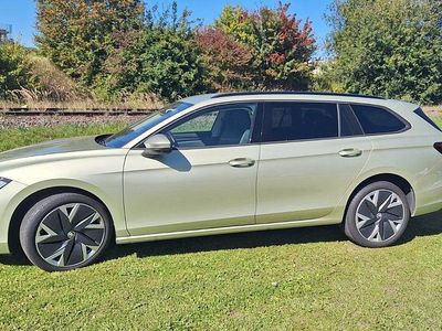 Grün Gebraucht 2024 Skoda Superb Kombi | 33.300 € (Guter Preis)