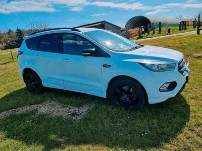 Usata Ford Kuga ST-Line 150 CV (110 kW) 2019 Bianco SUV