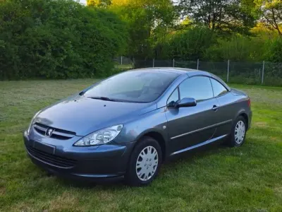 Gebraucht Peugeot 307 CC 140 PS (102 kW) 2005 Grau Cabrio