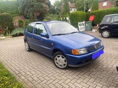 VW Polo