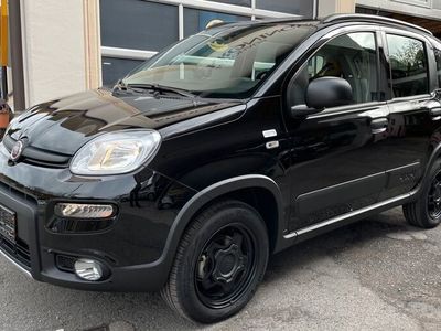 gebraucht Fiat Panda 4x4 Wild + Sperre Sondermodell "40 Jahre"