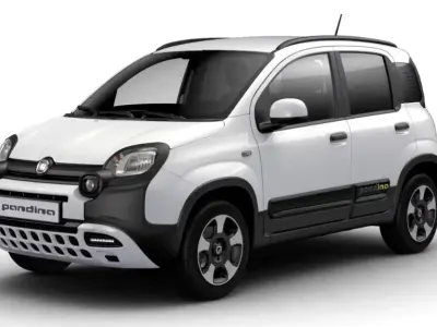 Gebraucht Fiat Panda Cross