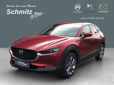 gebraucht Mazda CX-30 Exclusive-Line HUD Navi Klimaautom SHZ Rückfahrkam