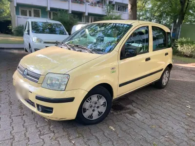 Gebraucht Fiat Panda Dynamic 60 PS (44 kW) 2007 Gelb Kleinwagen