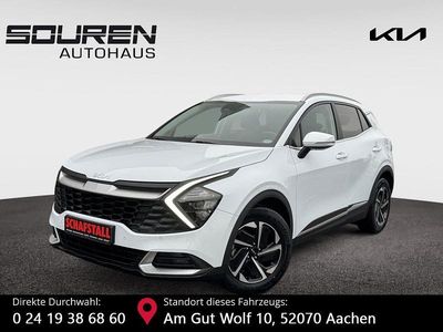 Gebraucht Kia Sportage Comfort 160 PS (117 kW) 2024 Weiß SUV