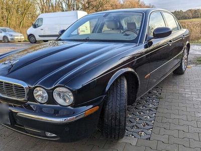 gebraucht Jaguar XJ8 4.2 Liter -