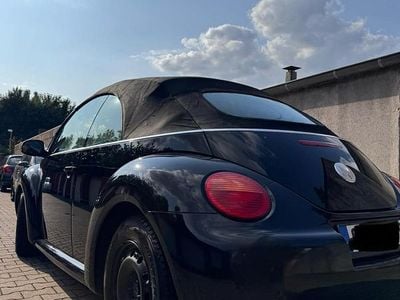 VW Beetle