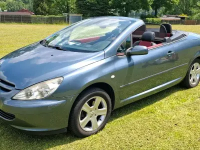 Gebraucht Peugeot 307 CC 136 PS (100 kW) 2003 Grau Cabrio
