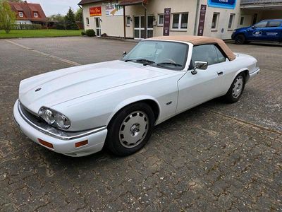 Gebraucht Jaguar XJS 232 PS (170 kW) 1995 Weiß Cabrio
