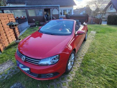 gebraucht VW Eos Basis BMT