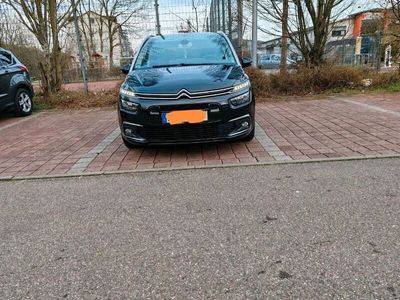 gebraucht Citroën C4 Picasso 7 sitzer