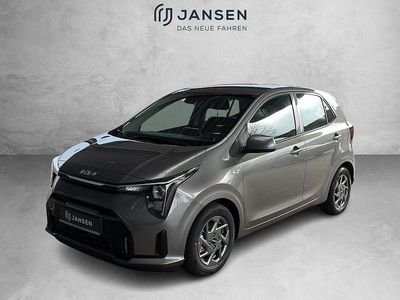 Neu Kia Picanto Vision 68 PS (50 kW) 2025 Grau Kleinwagen