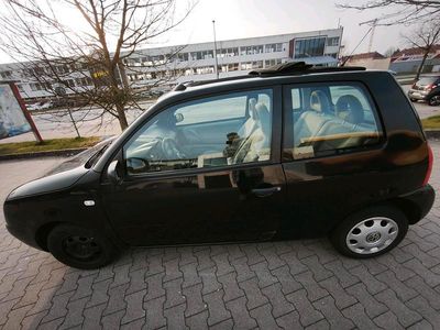 Gebraucht VW Lupo 50 PS (36 kW) 2002 Schwarz Kleinwagen