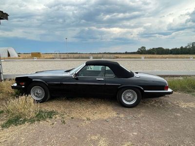 gebraucht Jaguar XJS V12 Cabrio, sehr gepflegter Oldie