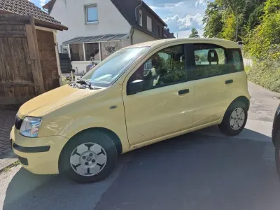 Gebraucht Fiat Panda 54 PS (39 kW) 2009 Gelb Kleinwagen