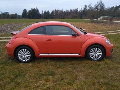 VW Beetle