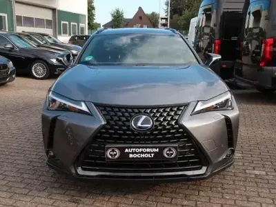 Gebraucht Lexus UX 250h